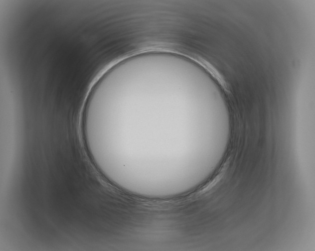 X0000110910885200906181004