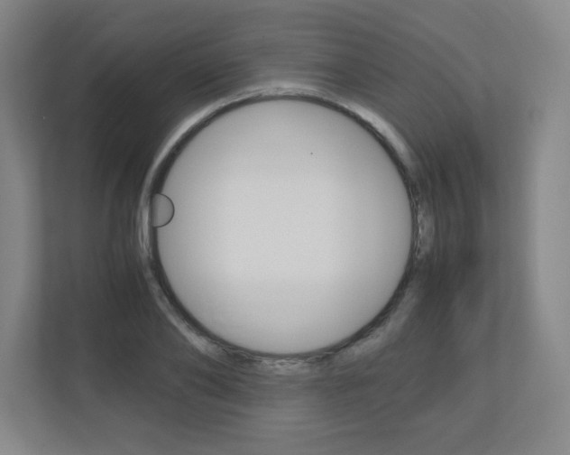 X0000110910886200906181004
