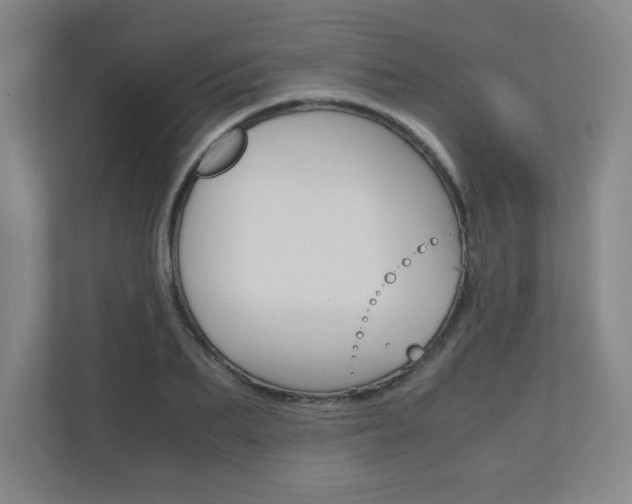 X0000110910887200906181004