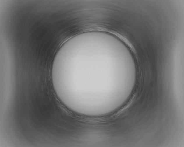 X0000110910889200906181004