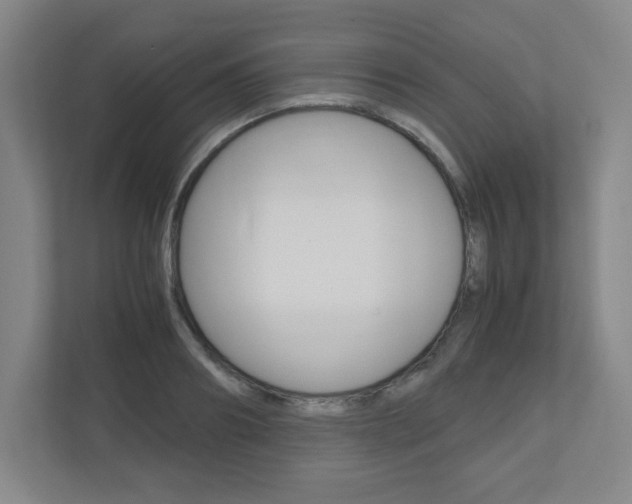 X0000110910890200906181004