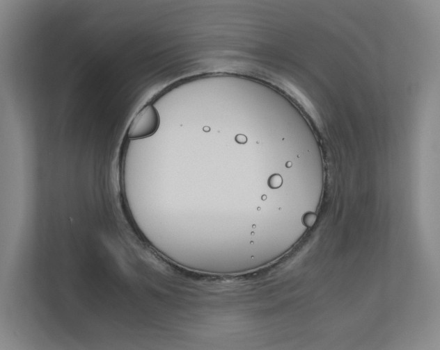 X0000110910891200906181004
