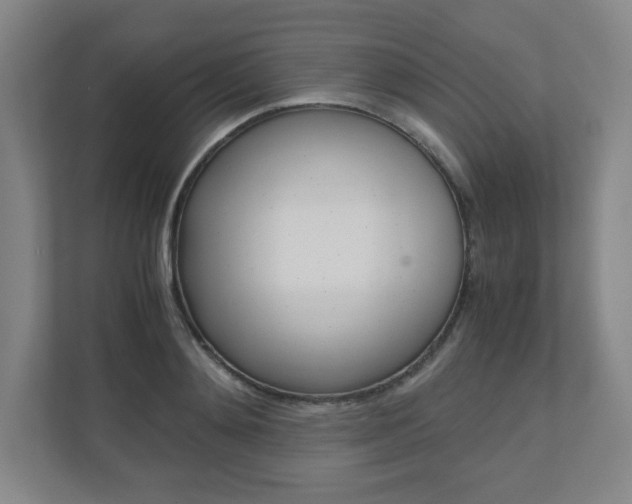 X0000110910892200906181004