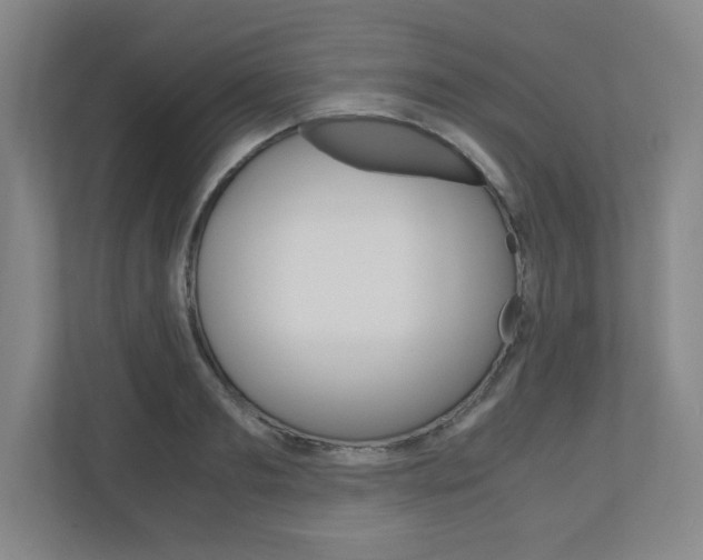 X0000110910893200906181004