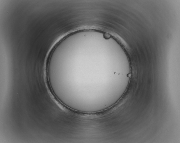 X0000110910894200906181004