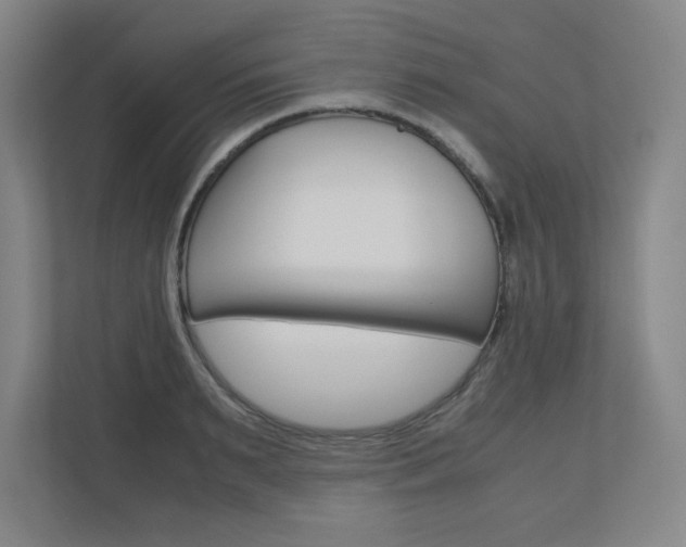 X0000110910895200906181004