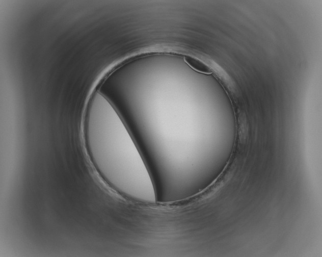 X0000110910896200906181004