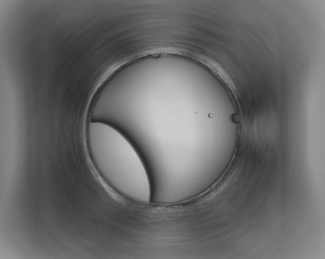 X0000110910898200906181004