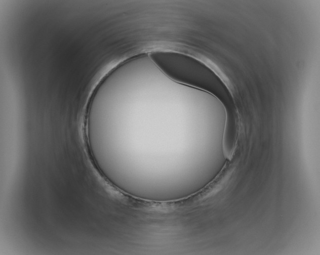 X0000110910901200906181004