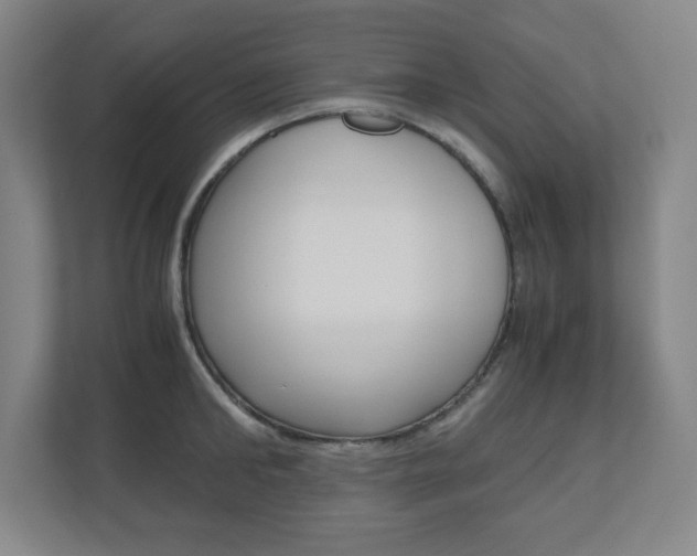 X0000110910902200906181004