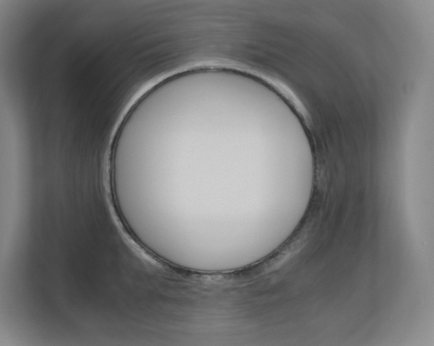 X0000110910903200906181004