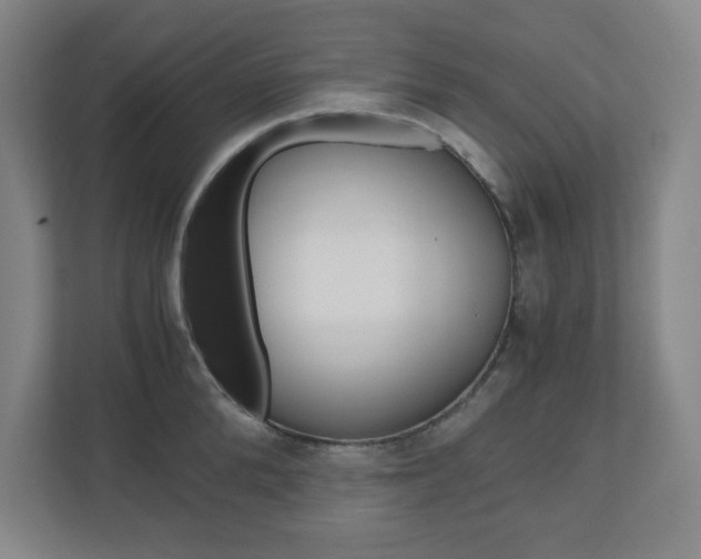 X0000110910904200906181003