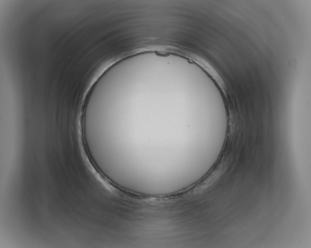 X0000110910906200906181003