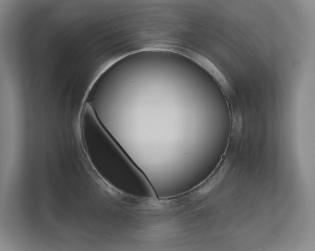 X0000110910908200906181003