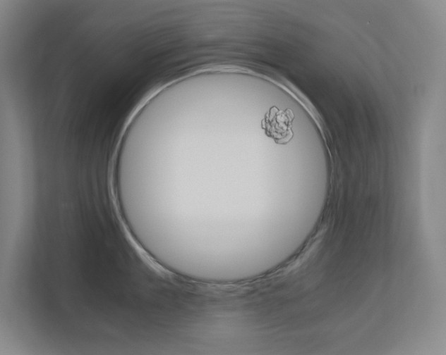 X0000110910909200906181003