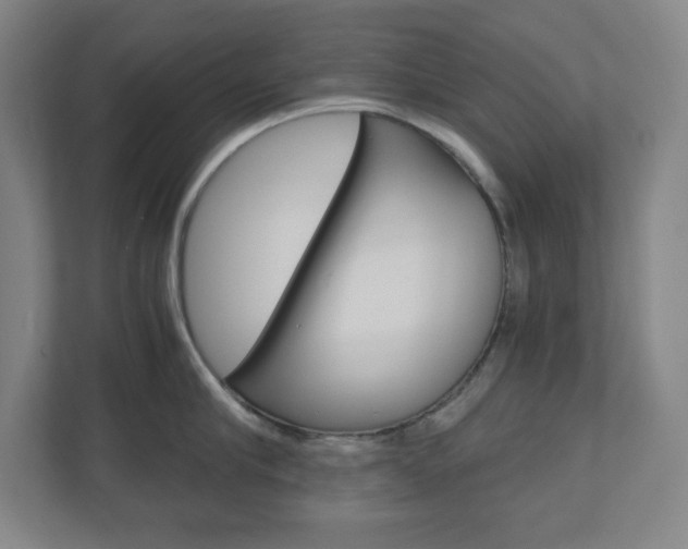 X0000110910910200906181003