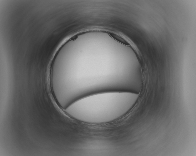 X0000110910911200906181003