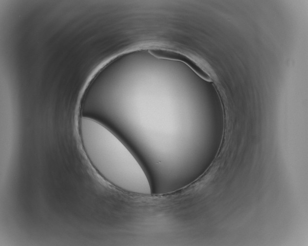 X0000110910912200906181003