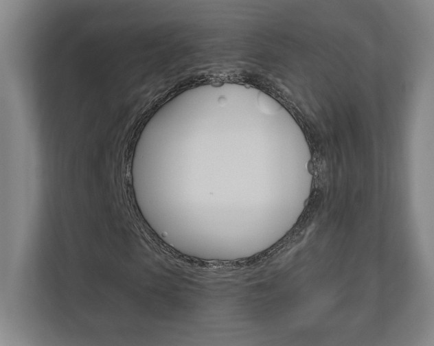 X0000110910913200906181003