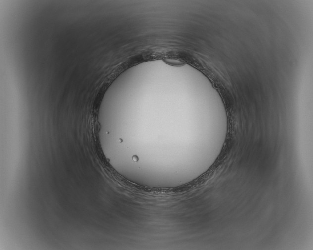 X0000110910914200906181003