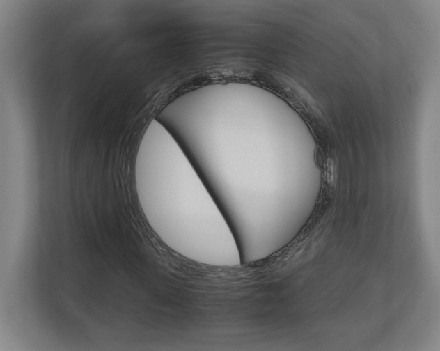 X0000110910915200906181003