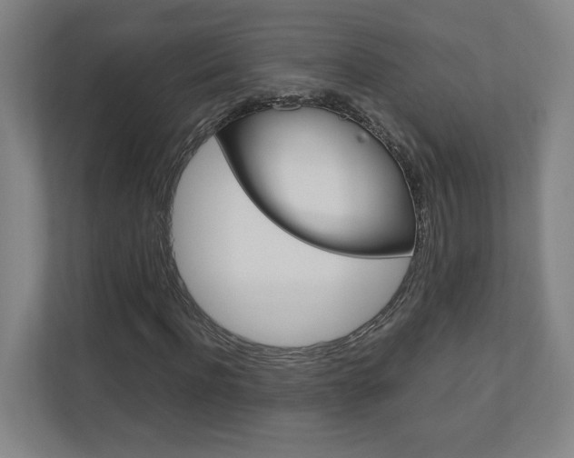 X0000110910916200906181003
