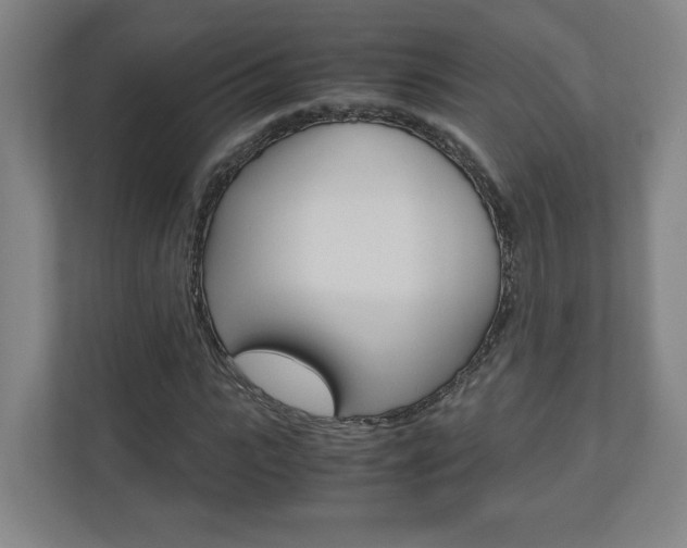 X0000110910919200906181003