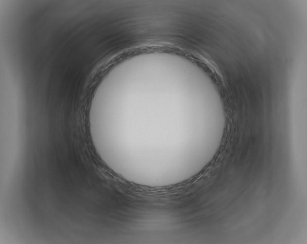 X0000110910920200906181003