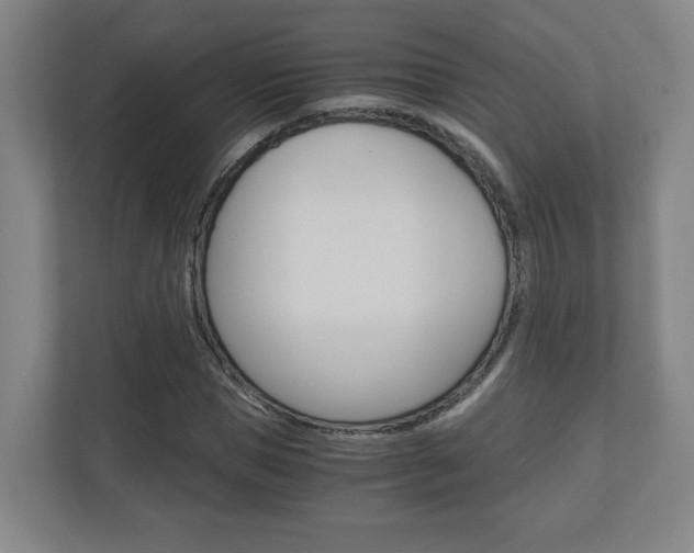 X0000110910921200906181003