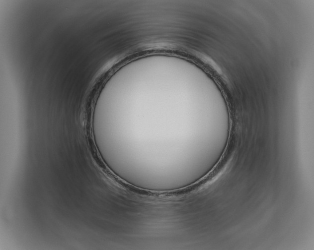 X0000110910922200906181003