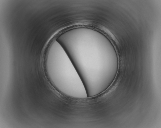 X0000110910923200906181003