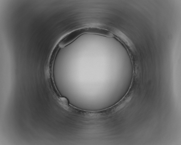 X0000110910924200906181003