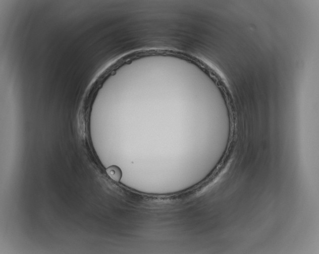X0000110910925200906181003