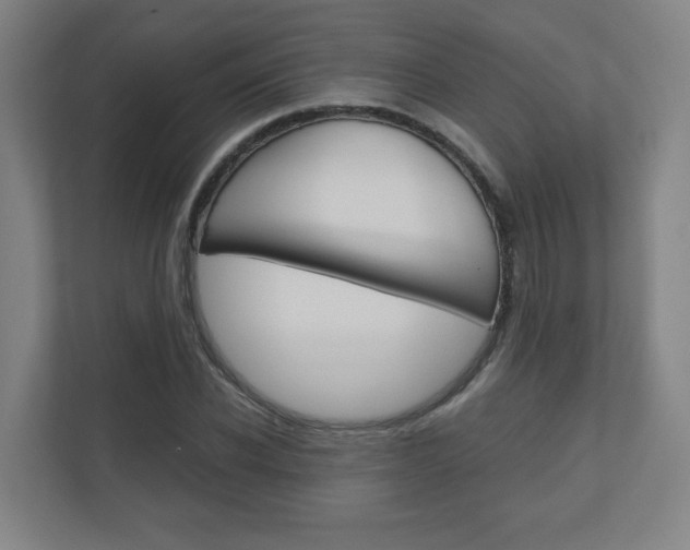 X0000110910926200906181003