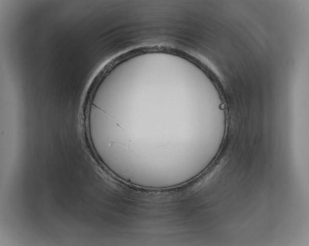 X0000110910927200906181003