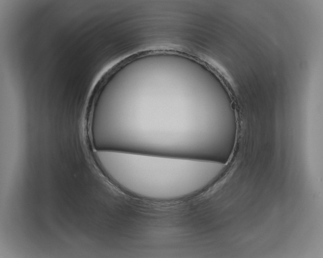 X0000110910928200906181003