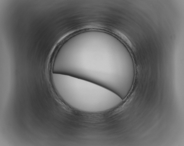 X0000110910931200906181003