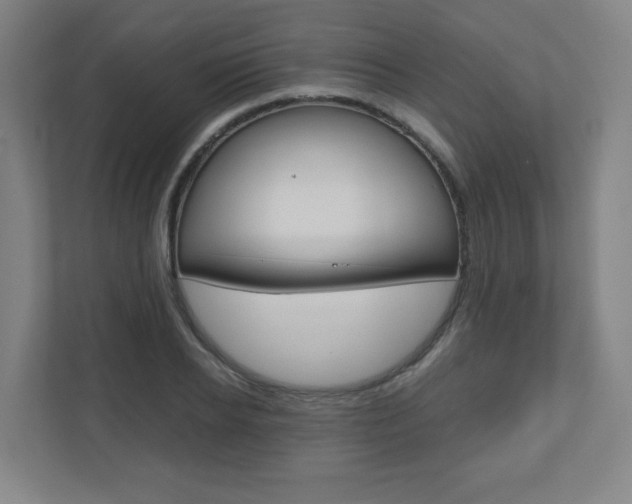 X0000110910934200906181003