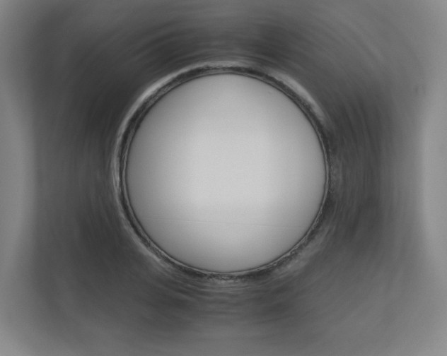 X0000110910935200906181003