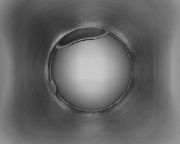 X0000110910936200906181003