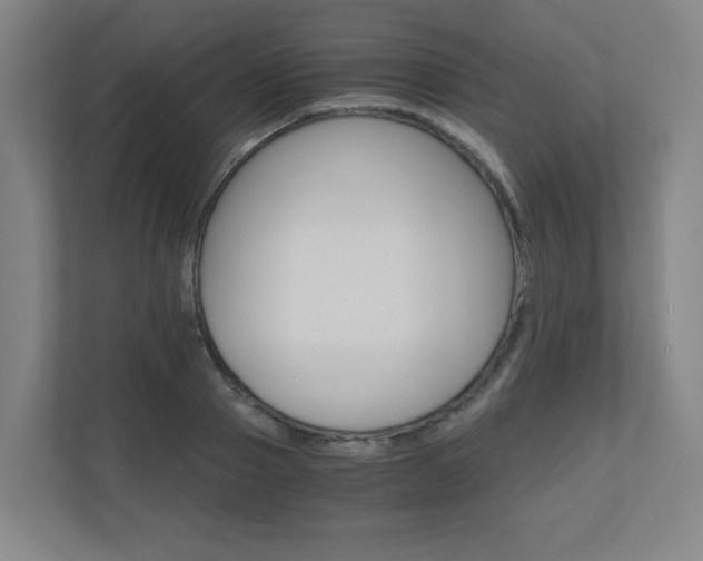 X0000110910937200906181003