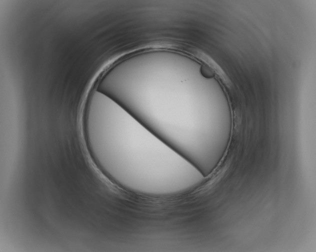 X0000110910939200906181003
