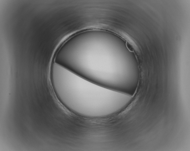 X0000110910940200906181003