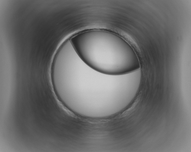 X0000110910942200906181003