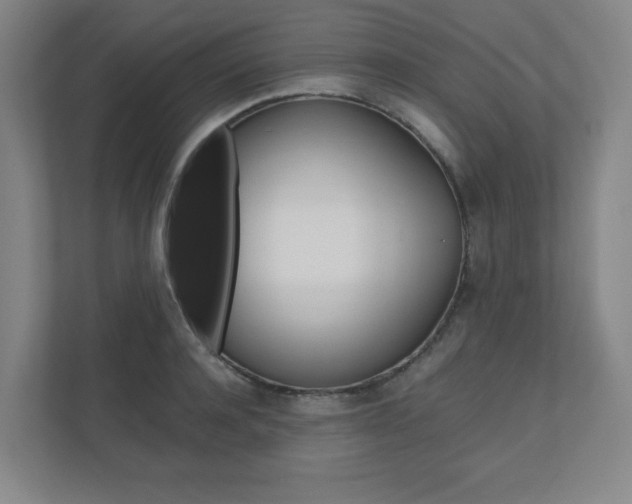 X0000110910944200906181003