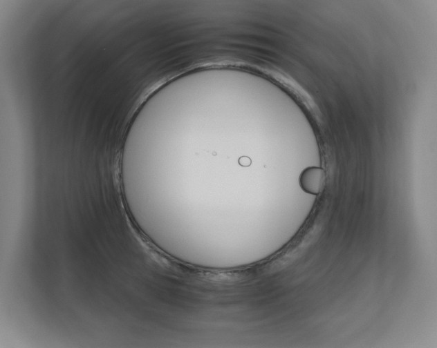X0000110910945200906181003