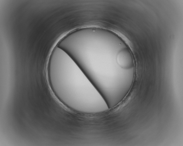 X0000110910949200906181003