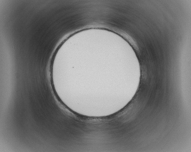 X0000110910950200906181003