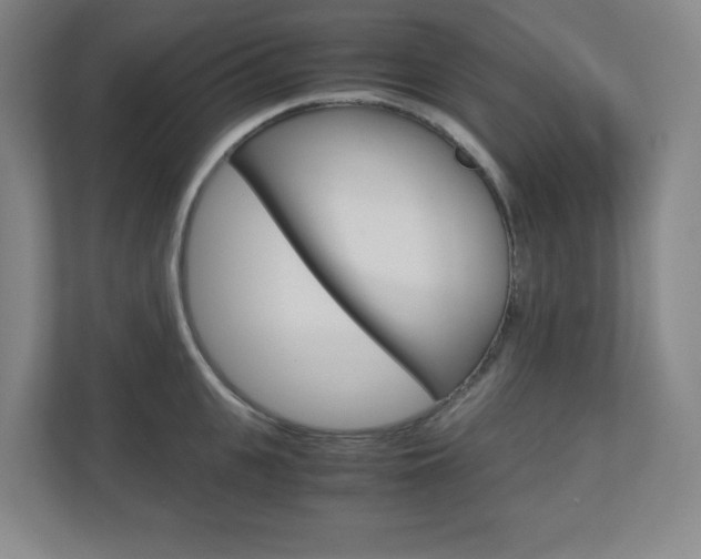 X0000110910951200906181003