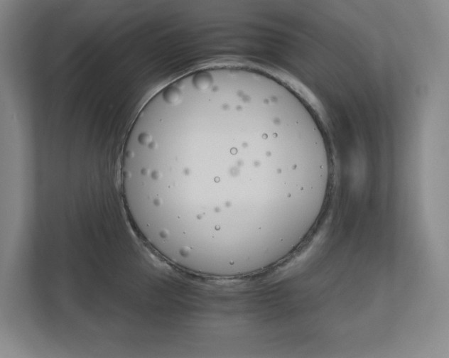 X0000110910953200906181003